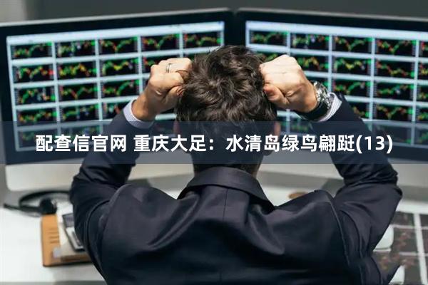 配查信官网 重庆大足：水清岛绿鸟翩跹(13)