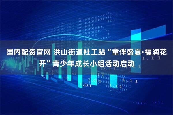 国内配资官网 洪山街道社工站“童伴盛夏·福润花开”青少年成长小组活动启动